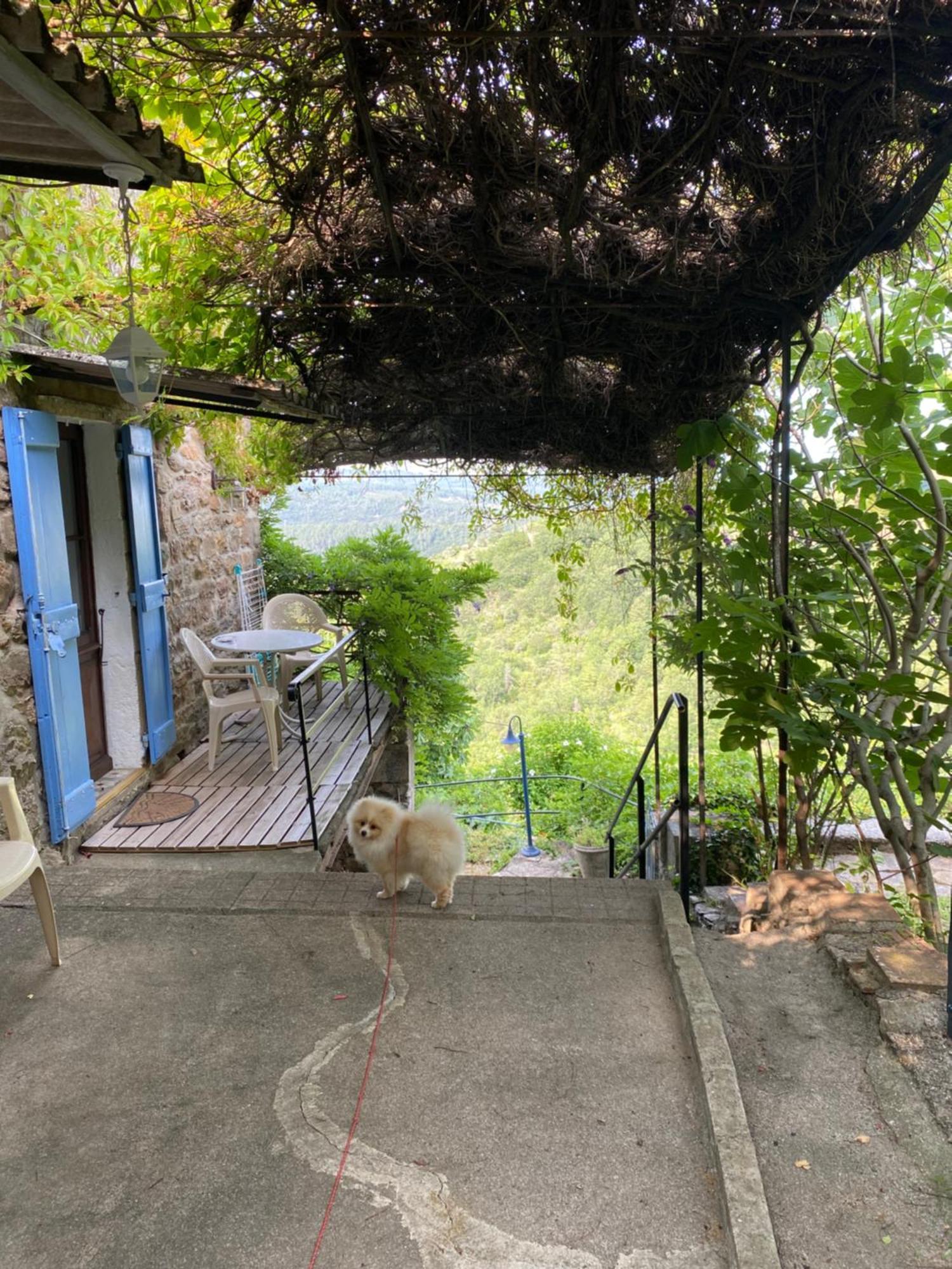 Villa Lou-Pelou Gravieres Esterno foto